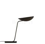 Oluce Plume Tafellamp, brons (Tafellampen, Binnenlampen), Huis en Inrichting, Lampen | Tafellampen, Verzenden, Nieuw