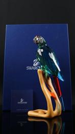 Figuur - Swarovski - Paradise Serie De Ara (Boxed +