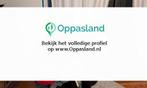 Derk zoekt een oppas in Houten voor 3 kinderen.