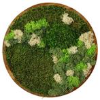 Vintlux Mosschilderij Rond 20 cm Donker Acacia - Floro, Nieuw