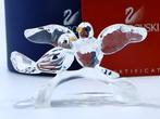 Figuur - Swarovski - Tortelduiven 2004 (Boxed + Certificate)