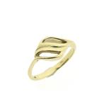 Gouden fantasiering, Gebruikt, Overige kleuren, Ophalen of Verzenden, Kleiner dan 17