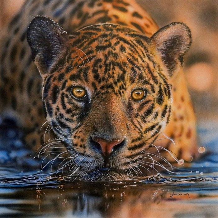 Johannes Wessmark - Jaguar 2, Antiek en Kunst, Kunst | Schilderijen | Modern