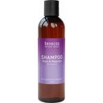 Benecos Natural Basics Shampoo Gloss & Repair Organic Argan, Nieuw, Verzenden