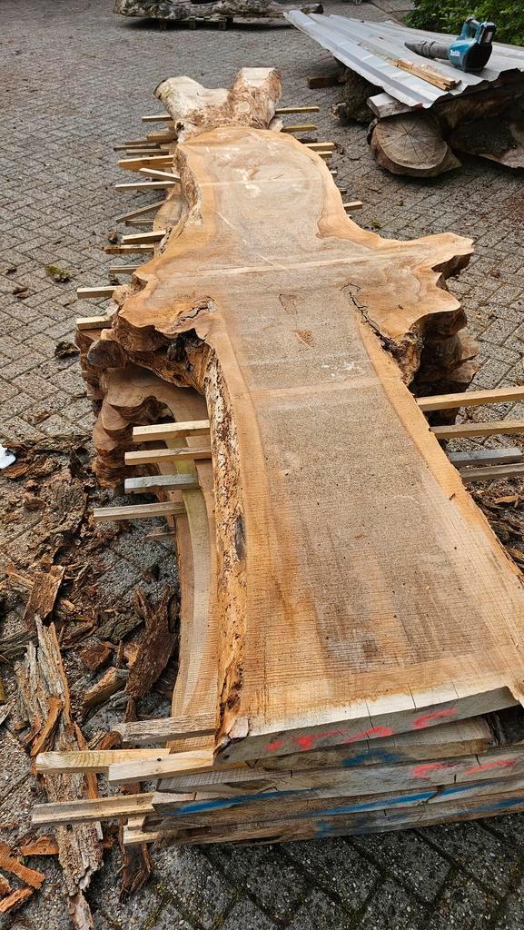 iepen, ulm. elm, schaaldelen ent! unieke epoxy hout, Doe-het-zelf en Verbouw, Hout en Planken, Overige houtsoorten, 300 cm of meer