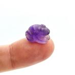 Sino-Mongools of Sino-Siberisch Amethist XXS Kikker Kraal