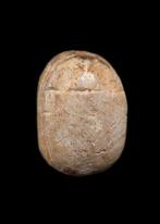 Oude Egypte, tweede tussenperiode Speksteen Scarab met valk