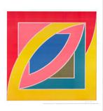 Frank Stella - River of Ponds II - Jaren 1970