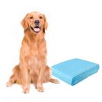 2dekans | Coast Puppy Wegwerp Training Pads -, Dieren en Toebehoren, Ophalen of Verzenden, Zo goed als nieuw