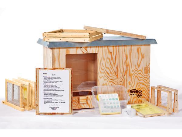 Veiling - EasyBeeBox bijenkast, Dieren en Toebehoren, Insecten en Spinnen