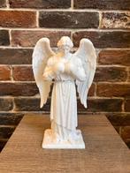 Andrea Giorgi - Boxing Angel