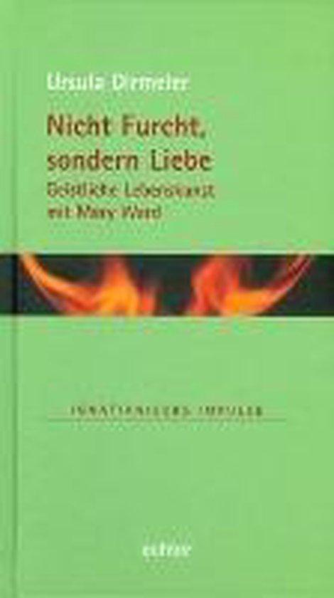Nicht Furcht, sondern Liebe, Boeken, Overige Boeken, Ophalen of Verzenden