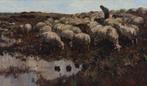 Willem Hendrik van der Nat (1864–1929) - Herder met schapen, Antiek en Kunst, Kunst | Schilderijen | Klassiek