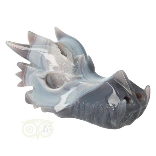 Agaat Geode Drakenschedel 822 gram, Sieraden, Tassen en Uiterlijk, Edelstenen, Nieuw, Verzenden