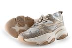 Steve Madden sneakers in maat 37 Wit | 25% korting, Kleding | Dames, Verzenden, Wit, Steve Madden, Sneakers of Gympen