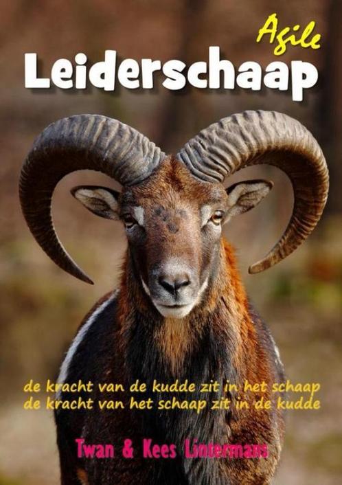 Agile leiderschaap 9789463673617 Kees en Twan Lintermans, Boeken, Economie, Management en Marketing, Zo goed als nieuw, Verzenden