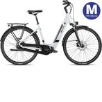 BESV Steel Grey E-Bike, Fietsen en Brommers, Elektrische fietsen, Nieuw