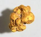 Goud Goud nugget - Hoogte: 7 mm - Breedte: 5 mm- 0.72 g -