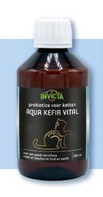 Invicta Aqua Kefir Vital Kat 250 ml 250 ml, Ophalen of Verzenden, Nieuw