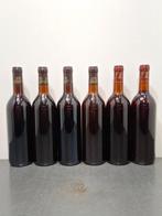 1973 x4 Barbaresco &amp; 1971 x2 Barolo. Piero Lanzavecchia -, Verzamelen, Wijnen, Nieuw