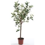 Kunstplant groene olijfboom 65 cm in betonlook pot - Overi..