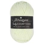 Scheepjes Truly Scrumptious - 317 Honeydew Melon Sorbet -, Ophalen of Verzenden, Nieuw