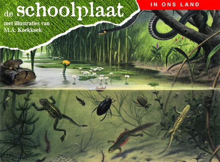 De schoolplaat / In ons land 9789075531343, Boeken, Kinderboeken | Kleuters, Zo goed als nieuw, Verzenden