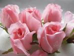 Roosjes 5-6cm. zijde best quality hot pink roze 10 st roos, Ophalen of Verzenden, Nieuw