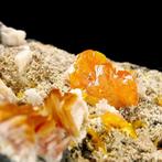 Wulfeniet & Bariet - Les Dalles-mijn, Mibladen, Midelt,, Verzamelen, Mineralen en Fossielen