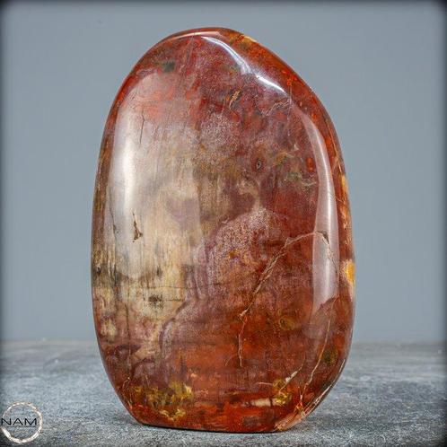 Vrije vorm van versteend hout handgepolijst- 1004.93 g, Verzamelen, Mineralen en Fossielen