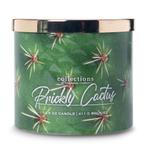Colonial Candle - Travel Collection Desert- Prickly Cactus, Verzenden, Nieuw