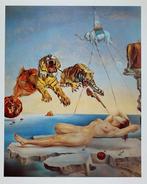 Salvador Dali (after) - Dream Caused by the Flight of a Bee, Antiek en Kunst