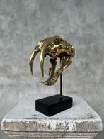 Beeld, NO RESERVE PRICE - Saber Tooth Tiger Skull - Smilodon, Antiek en Kunst, Curiosa en Brocante