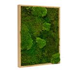 Vintlux Mosschilderij Lappenmos-Bolmos 30x40 cm Blank Hout, Huis en Inrichting, Woonaccessoires | Lijsten, Nieuw
