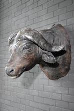 Large Cape Buffalo Taxidermie wandmontage - Syncerus caffer, Nieuw