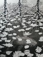 M. C. Escher (after) - Three Worlds (1955) - Taschen reprint, Antiek en Kunst, Kunst | Tekeningen en Foto's