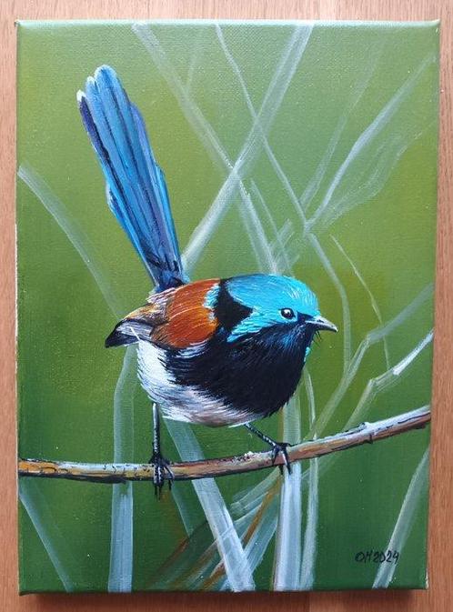 Alexander Nakonechnyi (XX-XXI) - The red-winged fairywren, Antiek en Kunst, Kunst | Schilderijen | Klassiek