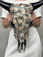 Geen reserveprijs - Prachtige koeien schedel met glazen