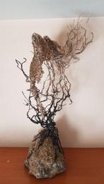 Adrian Draghici - Raíces del alma - NO Reserve