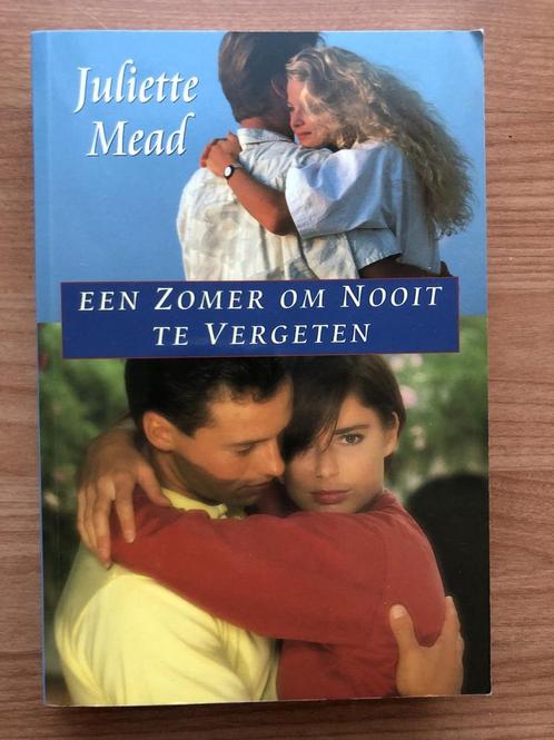 Een zomer om nooit te vergeten 9789032506131 Juliette Mead, Boeken, Streekboeken en Streekromans, Gelezen, Verzenden