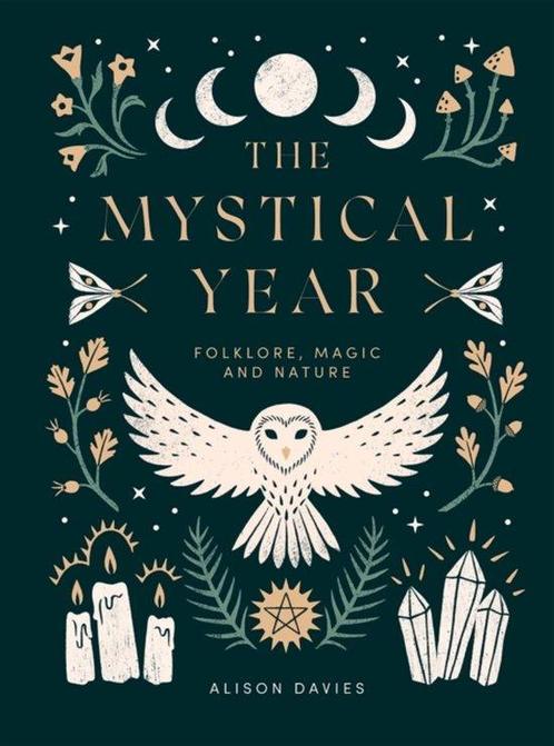 9781787136083 The Mystical Year | Tweedehands, Boeken, Studieboeken en Cursussen, Zo goed als nieuw, Verzenden