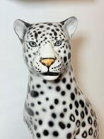 Beeld, Leopardo bianco e nero - 91 cm - Keramiek, Nieuw