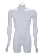 Plastic collection torso 3/4 model heer incl. armen wit
