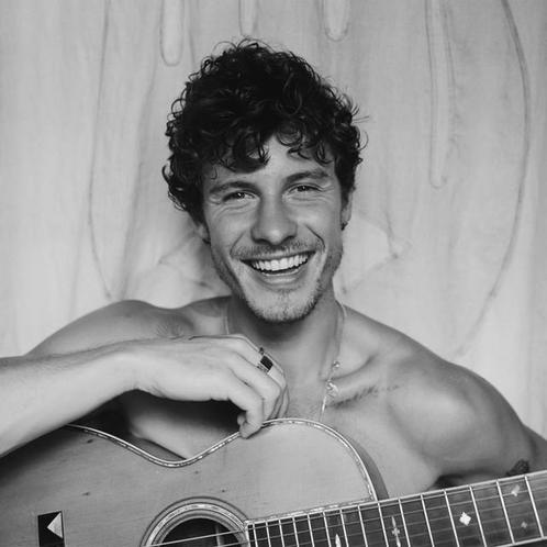Tickets voor Shawn Mendes | 20 Aug | Ziggo Dome Amsterdam, Tickets en Kaartjes, Concerten | Pop, Augustus, Drie personen of meer