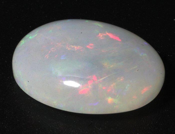 Zonder Minimumprijs Grijs Opaal - 18.91 ct - Instituto, Sieraden, Tassen en Uiterlijk, Edelstenen