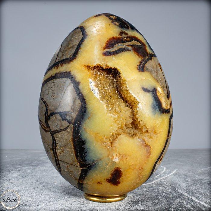 Zeer decoratief natuurlijke septarium Ei- 3783.24 g, Verzamelen, Mineralen en Fossielen