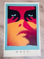 Shepard Fairey (OBEY) (1970) - Shadowplay