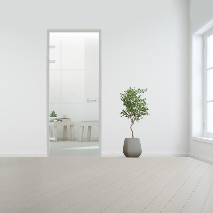 Glazen deur met kozijnsysteem - Aluminium beslag-Linksdraaie, Doe-het-zelf en Verbouw, Glas en Ramen, Nieuw, Ophalen of Verzenden