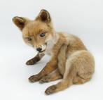 Rode vos Taxidermie volledige montage - Vulpes vulpes - 23, Verzamelen, Dierenverzamelingen, Nieuw
