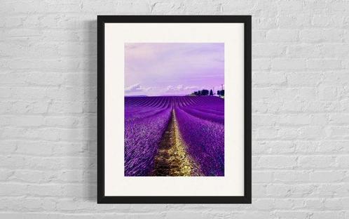 Fabian Kimmel - Lavender Fields I, Provence/Cote DAzur, Antiek en Kunst, Kunst | Schilderijen | Modern